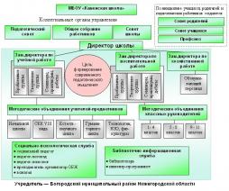 Информация об органах управления и структурных подразделениях (схема)